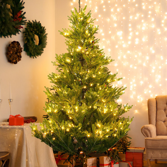 The Holiday Aisle® Lighted Fir Christmas Tree & Reviews Wayfair